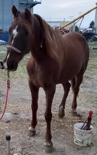 Charlie